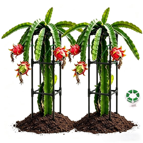 MQHUAYU 2Pack 47.3in Heavy-Duty Square Dragon Fruit Trellis, Rustproof Metal Plant Support Cages with Garden Ties for Cactus, Tall Plants, Indoor/Outdoor Garden Use