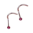 thumbnail image 1 of Qarigey Tachuelas para la nariz Accesorio de decoración de moda Exquisita chica joven con estilo de acero inoxidable Joyas Regalo Decoraciones Ropa, zapatos y accesorios Miscelánea Rojo púrpura Qarigey AP011320-10B, 1 of 6