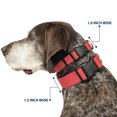 thumbnail image 2 of Buckle-Down Pet Collar, Dog Collar Plastic Buckle, Solid Salmon Orange, 9.5 to 13 Inches 1.0 Inch Wide, 2 of 8