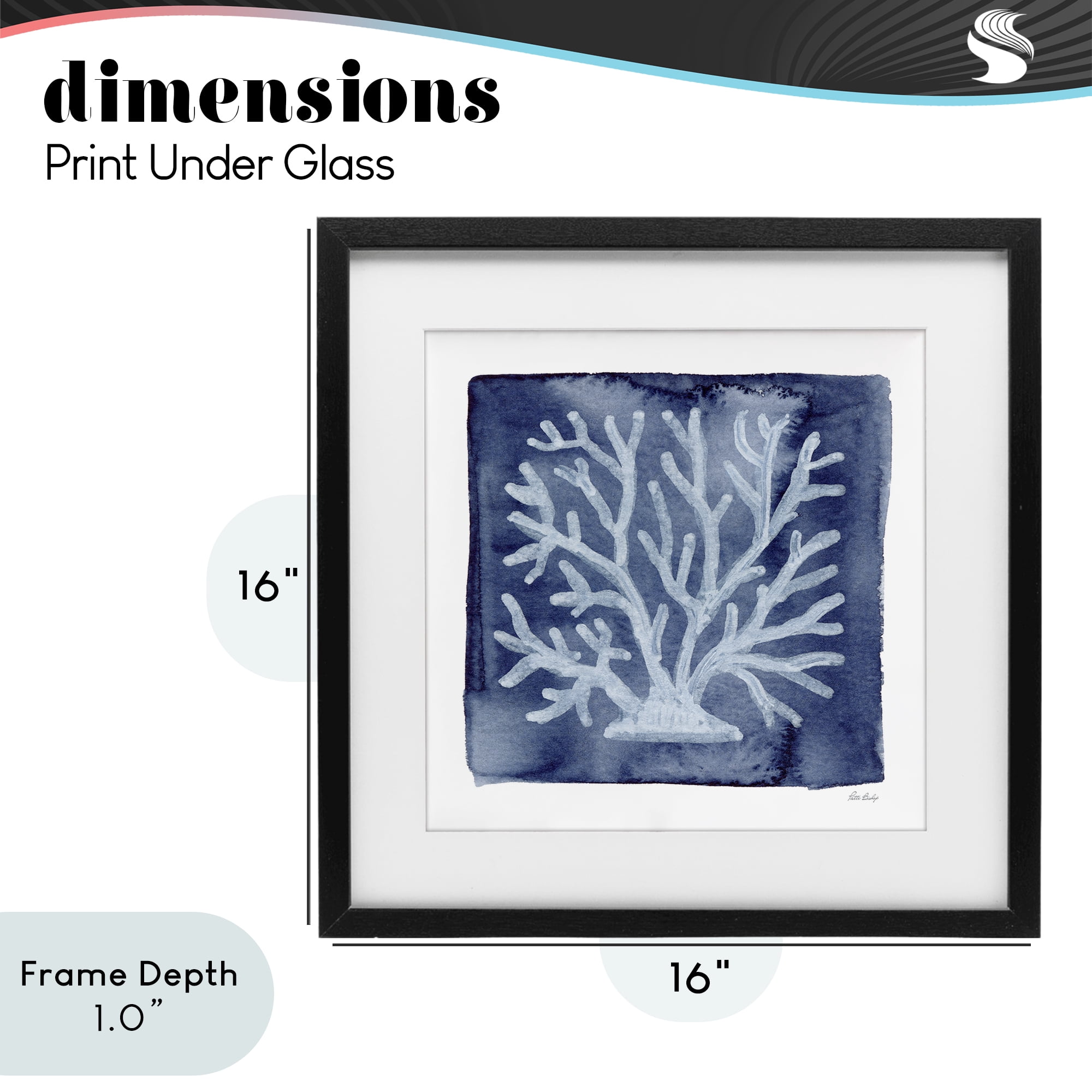 Stupell Industries White Coral on Indigo Black Framed Print Under Glass, design by Patti Bishop