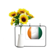 thumbnail image 1 of 7 'Ivoire national flag World Cup Tarjeta de bendición de jarrón de girasol artificial, 1 of 3