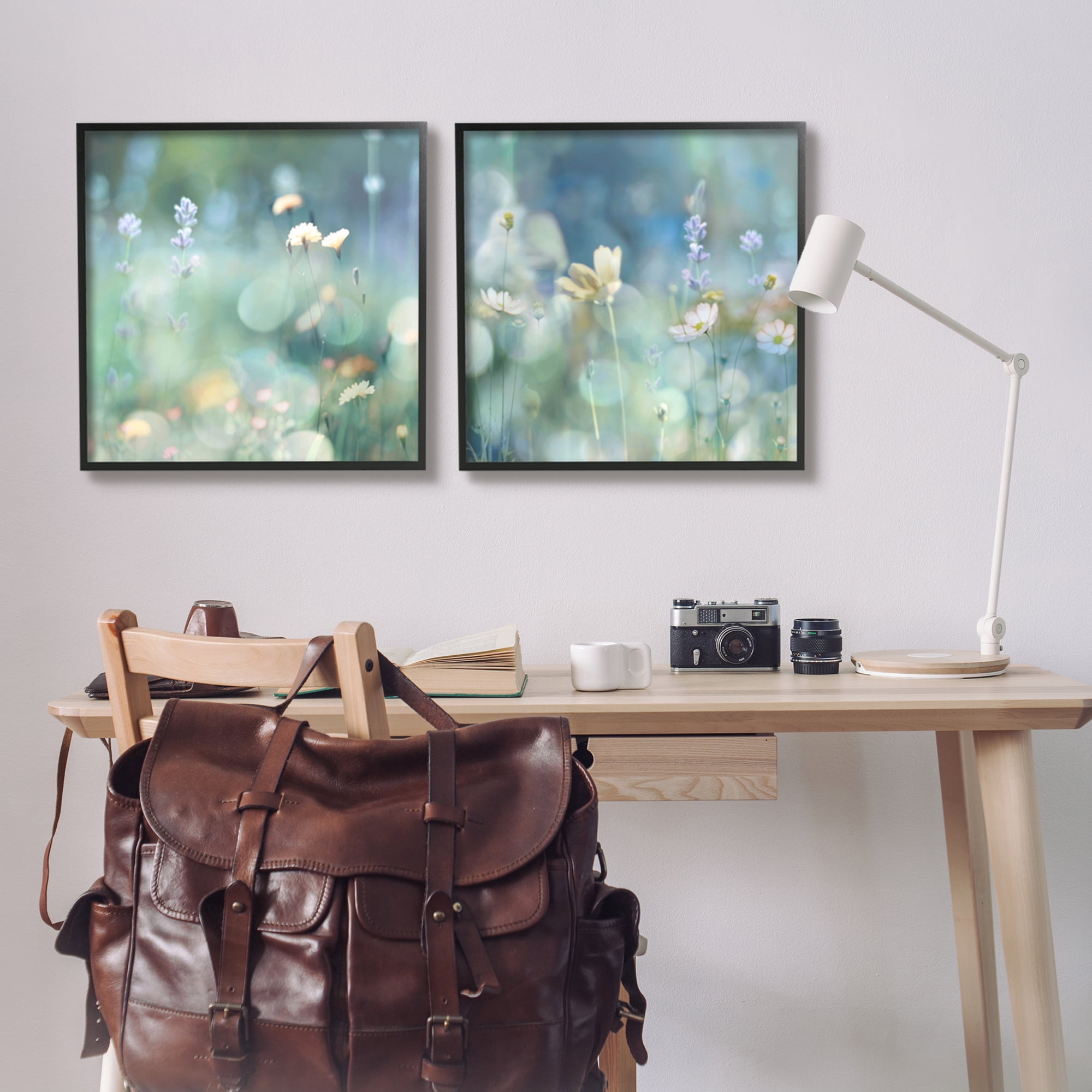 Stupell Industries Sunlit Daisy Field Botanical & Floral Photography Black Framed Art Print Wall Art, 24 x 24