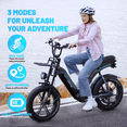 thumbnail image 6 of Luimp Electric Bike for Adults, 750W Ebike with 48V 20Ah Battery, 31MPH Electric Bicycles, 20'' Fat Tire Ebike, Hydraulic Brake Mountain Bike, 7 Speed Bicicleta Eléctrica para Adultos, E-bike UL2849, 6 of 14