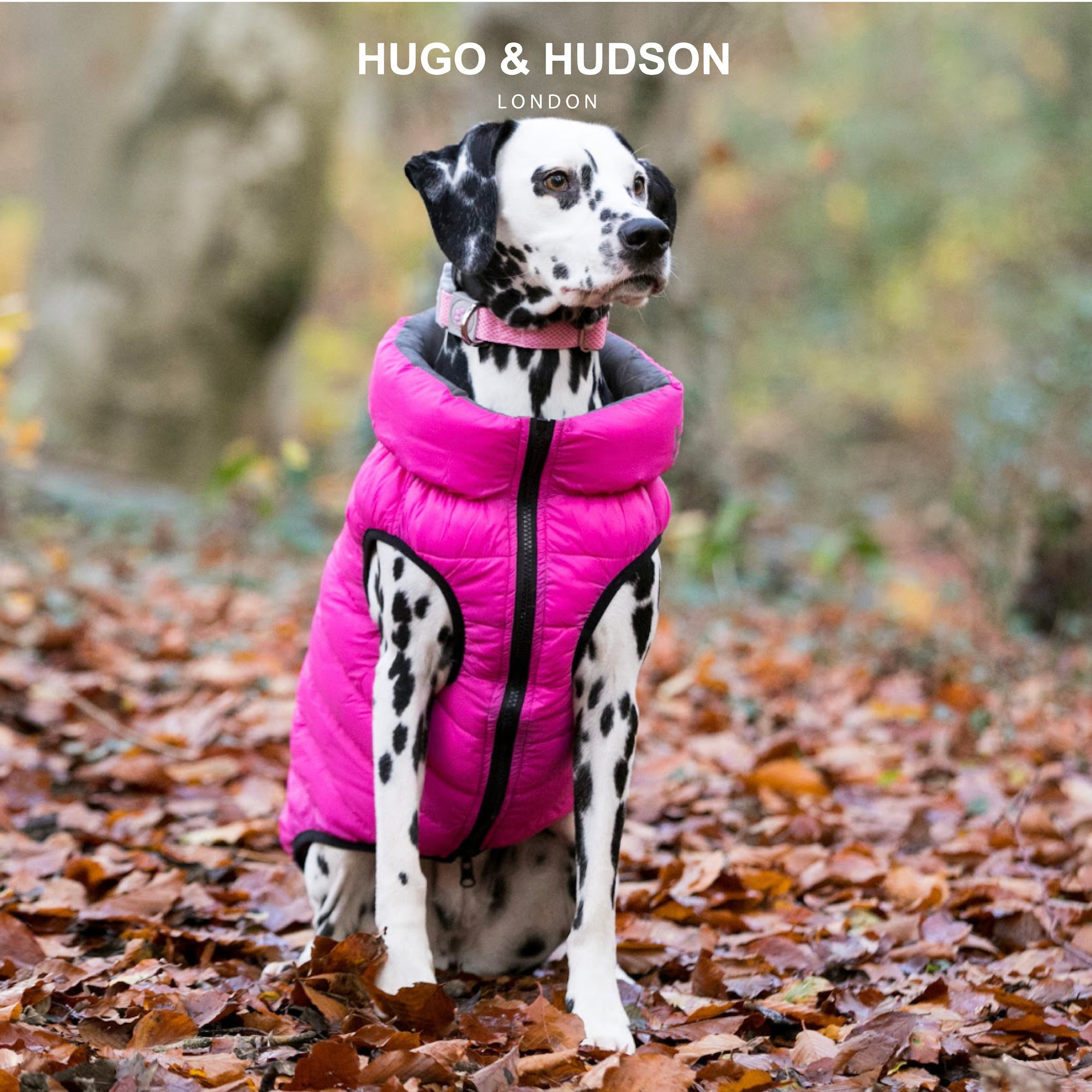 lys pære batteri fingeraftryk Hugo & Hudson Reversible Dog Puffer Jacket Coat - Pink & Grey - M50 -  Walmart.com