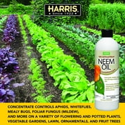 Harris 100% Cold Pressed Filtered Neem Oil & Insecticide/Miticide/Fungicide, 12 oz