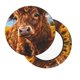 thumbnail image 2 of Balery Cloud Sky Sunflower Cow Fundas de asiento para taburete de bar redondo de tela de terciopelo ajustables que protegen de arañazos y manchas para sillas de 14 a 17 pulgadas.-14 inch, 2 of 7