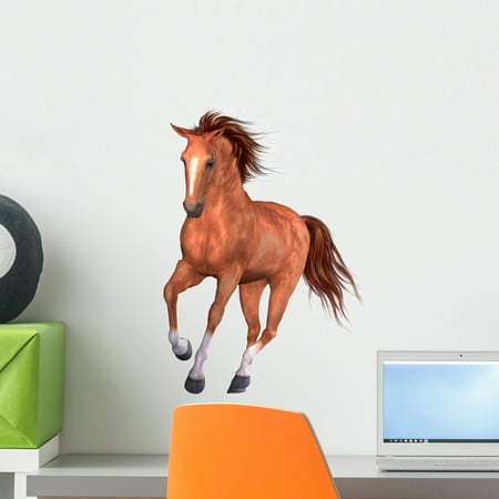 - Beautiful Horse Wall Decal by Wallmonkeys Peel and Stick Graphic (18 in H x 13 in W) WM34497