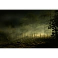 thumbnail image 3 of Rizani, Nunu 18x13 Black Modern Framed Museum Art Print Titled - Misty Morning, 3 of 5