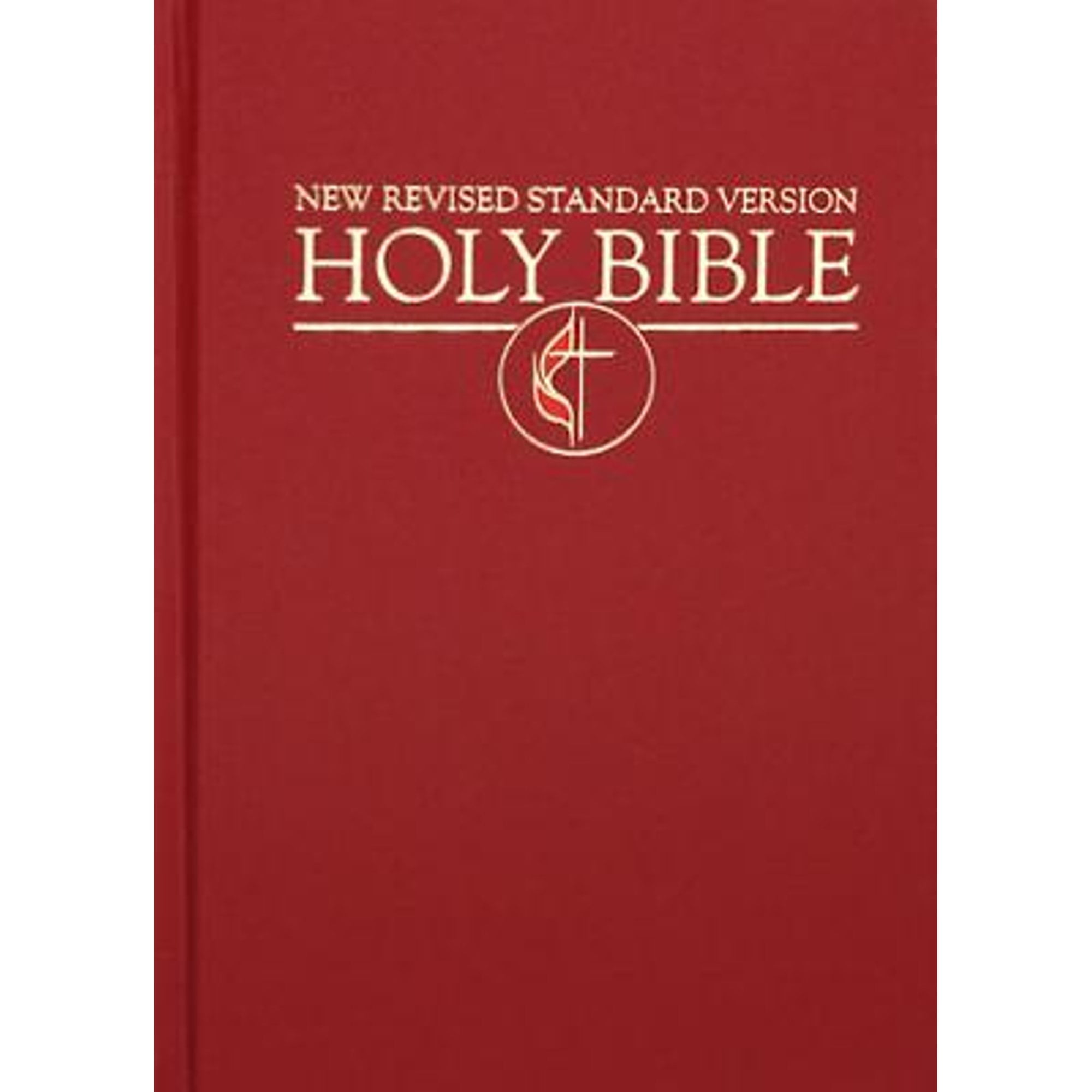 洋書 HOLY BIBLE NEW REVISED STANDARD VERSION Holy Bible: New Oxford Annotated Bible, New Revised Standard