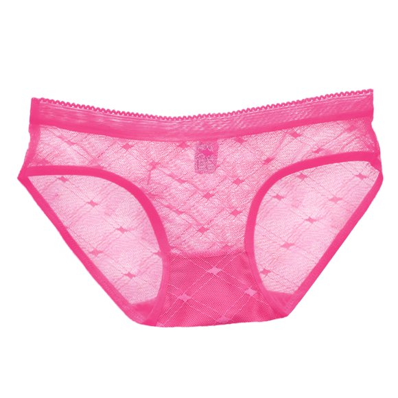 Harpily 2025 Women's Panties Womens Sheer Lace Panties Clearance See Through Mesh Cotton Crotch Seamless Briefs