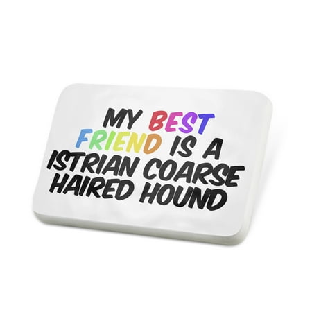 Porcelein Pin My best Friend a Istrian Coarse-haired Hound Dog from Croatia Lapel Badge –