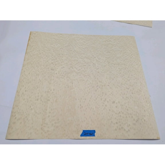 Birdseye Maple composite wood veneer 24" x 21" on paper backer 1/40" thick #1100