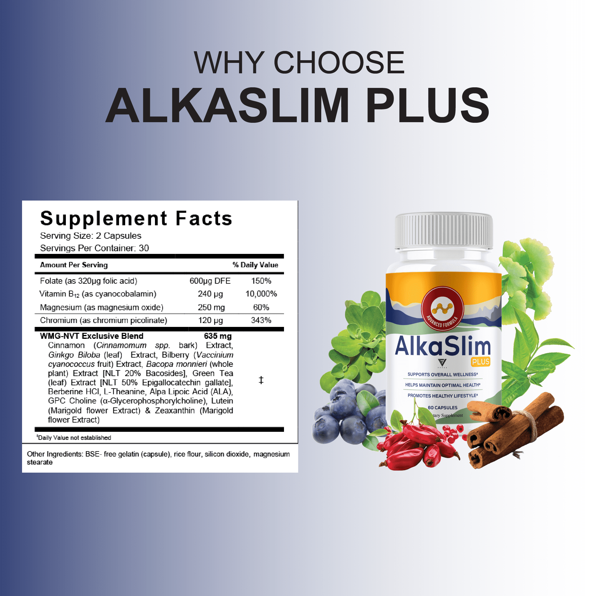 (2 Pack) AlkaSlim Plus Premium Daily Health Supplement (120 Capsules)