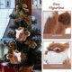 thumbnail image 4 of Figuras de Zorro de Peluche Pequeñas, Mini Estatuas de Zorro Vívidas, Decoración de Árbol de Navidad, 4 of 8