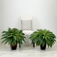 thumbnail image 3 of Nearly Natural 23in. Artificial Boston Fern Plant with Tapered Bronze Square Metal Planter, 3 of 7