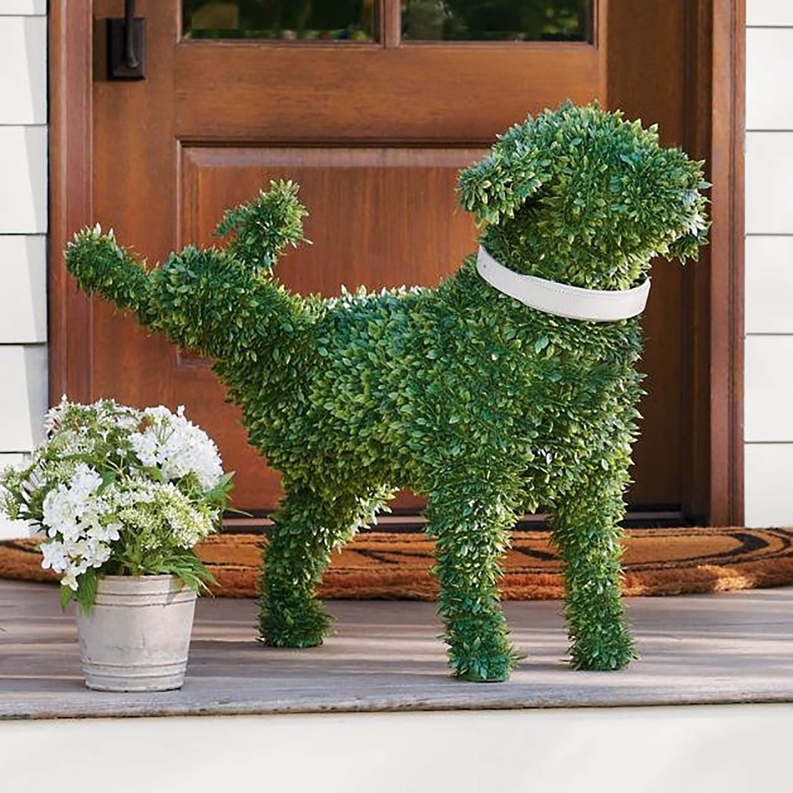 How To Keep Dogs From Peeing On Boxwoods