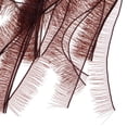 thumbnail image 4 of Tiras de Pestañas perfecl 40 unids 5 colores Marron oscuro, 4 of 8