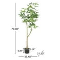thumbnail image 3 of Noble House Riverlake 6' x 3' Artificial Money Tree, Green, 3 of 7