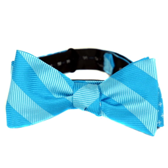 BuyYourTies - FBTZ-R-71 - Mens Aficionado 2 Sided Self Tie Bow Tie - Blue