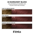 thumbnail image 3 of (2 pack) L'Oreal Paris Feria Shimmering Permanent Hair Color, 42 Burgundy Blush (Deep Reddish Brown), Unisex, 1 Kit, 3 of 8