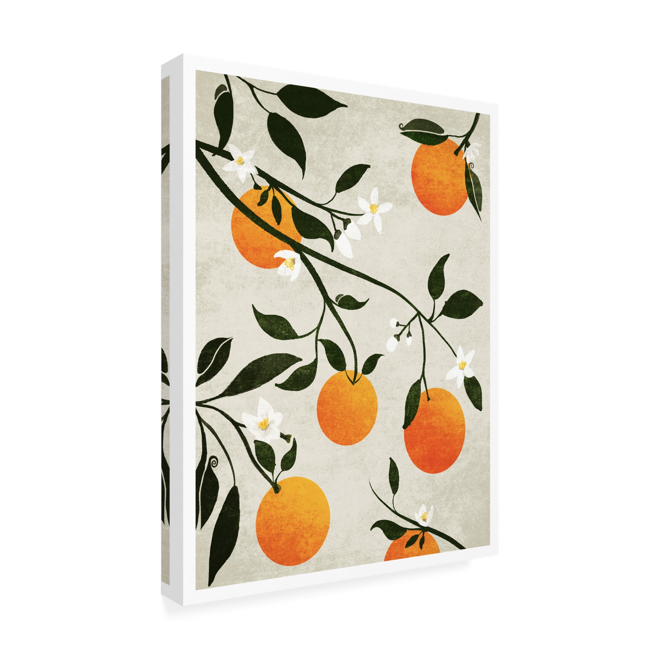 Trademark Fine Art Emel Tunaboylu  Rectangle 14 Canvas Wall Art