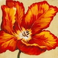 thumbnail image 2 of OToole, Tim 26x26 Black Ornate Wood Framed with Double Matting Museum Art Print Titled - Parrot Tulip I, 2 of 4