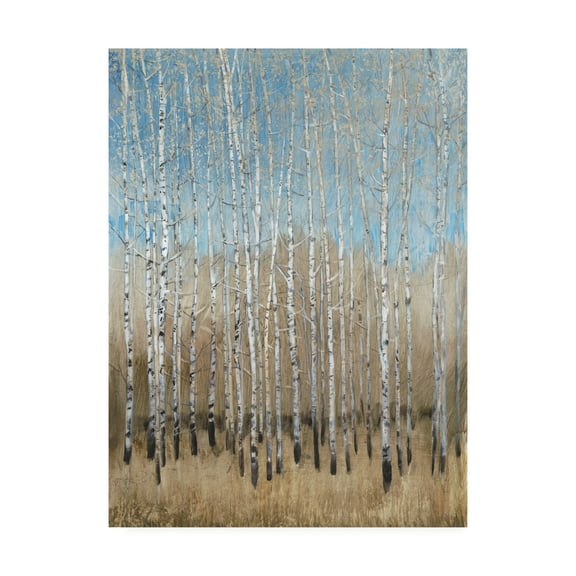 Trademark Fine Art 'Dusty Blue Birches I' Canvas Art by Tim OToole