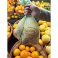 thumbnail image 3 of BioBag 100% Certified Compostable Produce Bags, Designed for Multi-Family Buildings Organics Programs, Green, 15 x 17, 1120 Count, 3 of 3