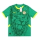 thumbnail image 1 of Jersey Playera Puma de la Seleccion de Senegal Para Hombre Talla Grande (L), 1 of 4