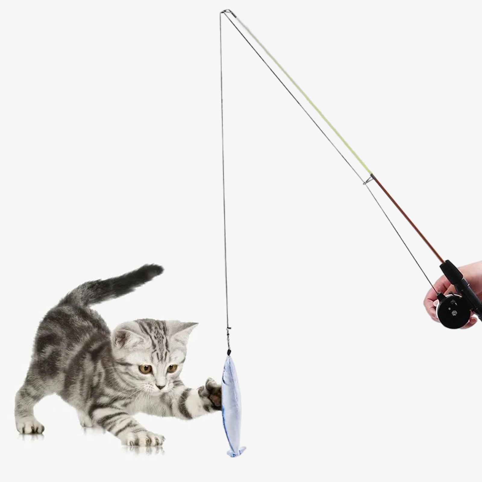 Retractable Fishing Pole Teaser Interactive Kitten ing Toy, Chase