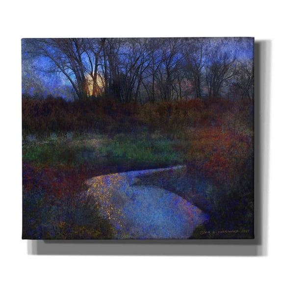 Epic Graffiti 'Moonlit Stream' by Chris Vest, Canvas Wall Art, 30"x26"