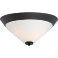 thumbnail image 2 of Nuvo Lighting Nuvo Nome 2 Light Flush Mount, 2 of 2