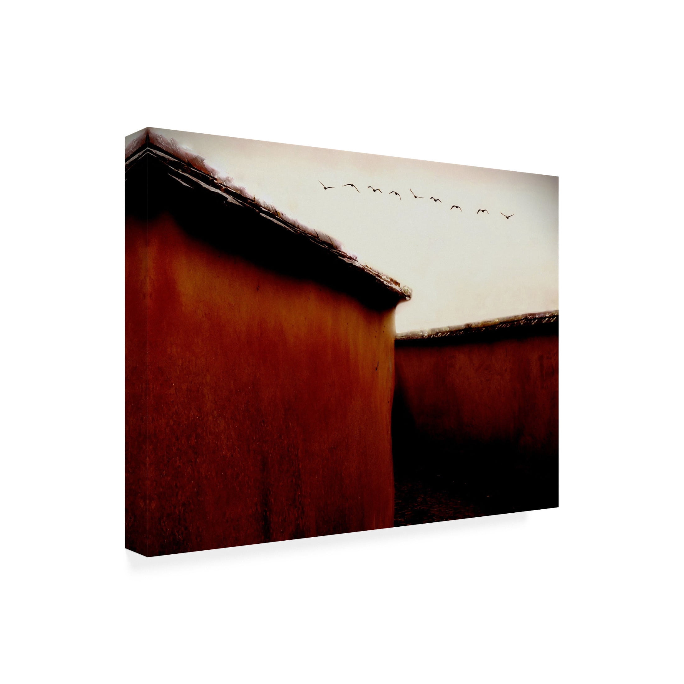 Trademark Fine Art Gareth Thomas  Leaving For Winter Canvas Wall Art