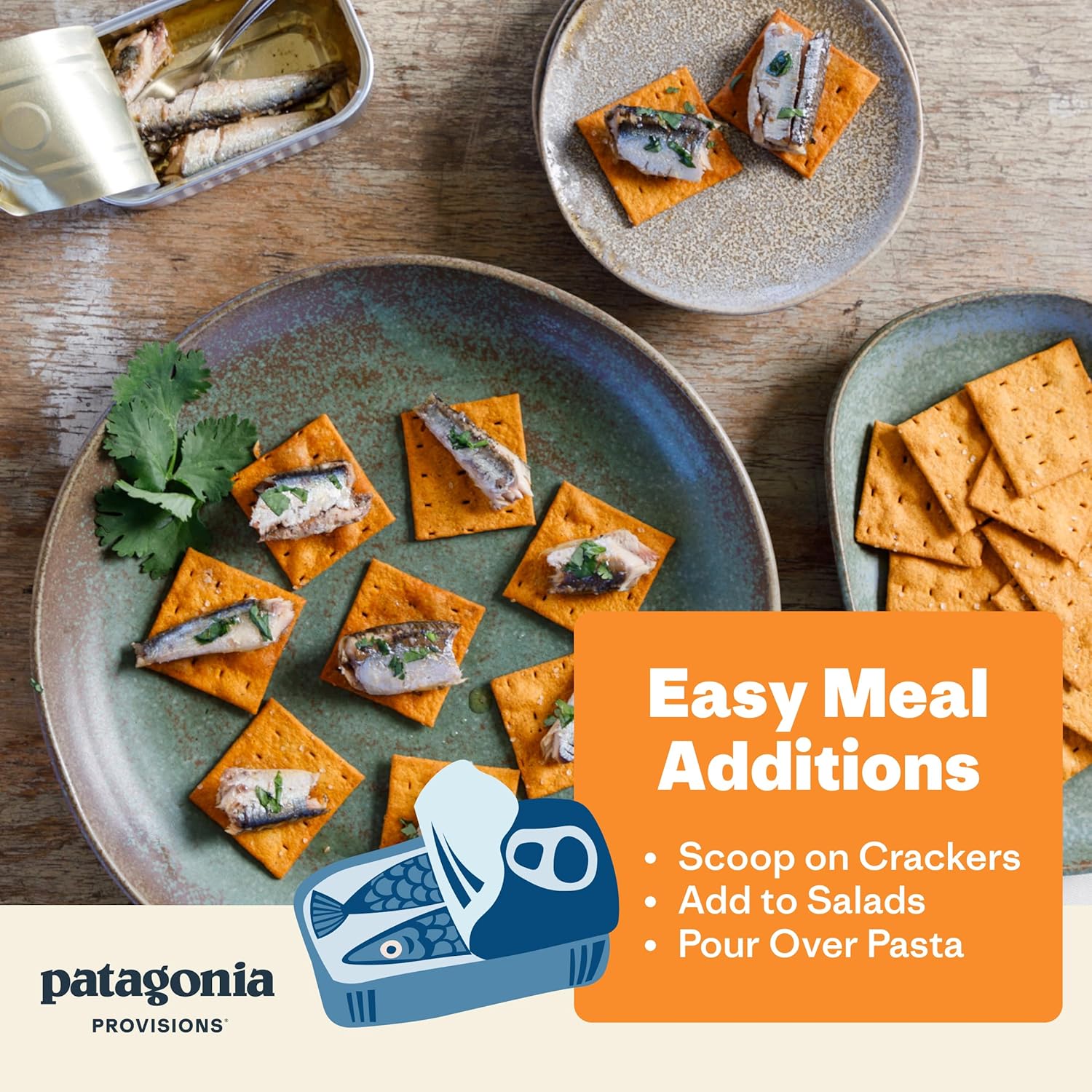 (Pack Of 10) Patagonia Provisions Anchovies Spanish Roasted Garlic 4.2 Oz