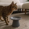 thumbnail image 4 of Dexypaws: Flat Top Ceramic Cat Bowl - Black Fish Print - 7.5oz, Pet Feeding Dish, Food & Water, Raised Ergonomic Height, Whisker Friendly, Stylish, 4 of 7