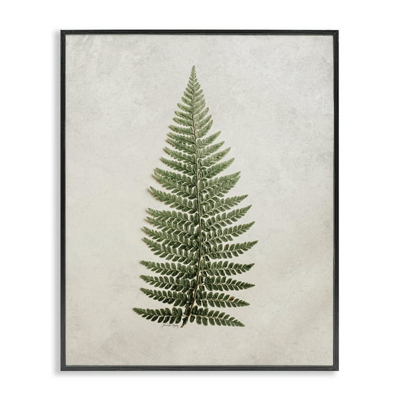 Stupell Industries Detailed Fern Leaf Botanical & Floral Painting Black Framed Art Print Wall Art, 11 x 14
