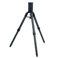 thumbnail image 2 of Sky-Watcher Wave 2-Section Carbon Fiber Tripod, 2 of 3