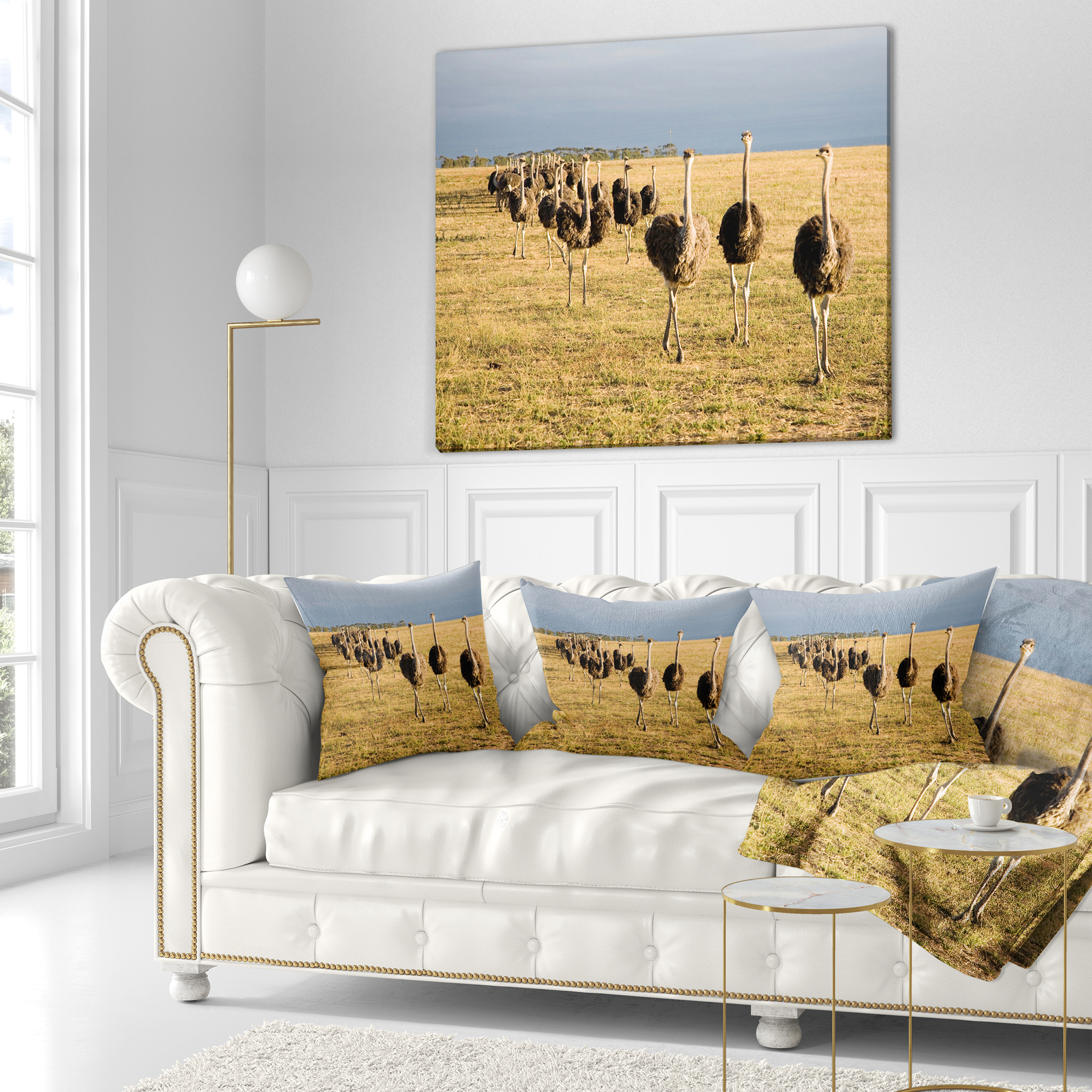 Designart Ostriches Walking in South Africa - African Throw Pillow - 18x18