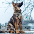 thumbnail image 3 of p>Col d'Entraînement pour Chien, Collier à Boucle Forte Réglable pour Chien de Grande Taille/p>, 3 of 7