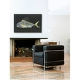 thumbnail image 3 of Marmont Hill "Roosterfish" by Warren Sellers Painting Print on Wrapped Canvas, 3 of 7