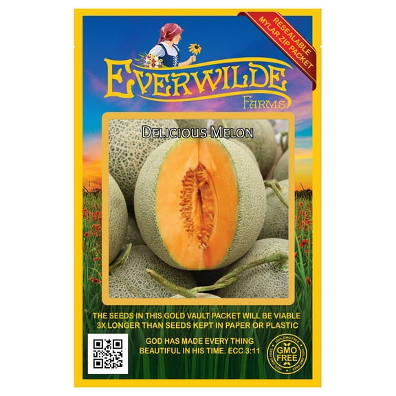 Everwilde Farms - 50 Delicious 51 Melon Seeds - Gold Vault Jumbo Bulk Seed Packet