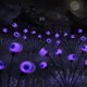 thumbnail image 3 of Decoraciones de Halloween Luces de Globo Ocular para Exteriores, 4 Piezas 8 LED Luces Solares para Caminos Que Se Balancean por el Viento para JardíN PúRpura, 3 of 5