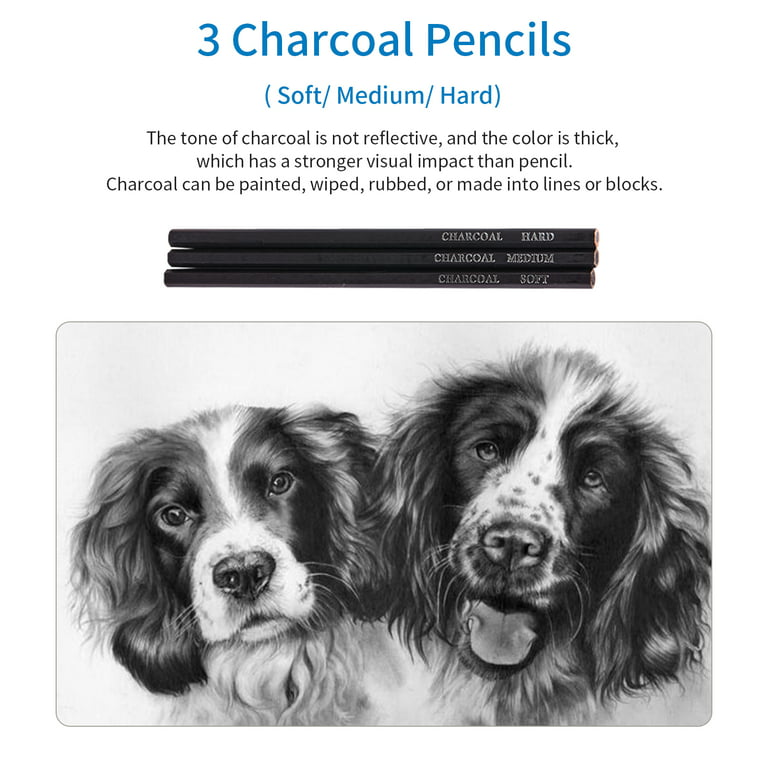 Masterful Drawing: Charcoal and Colored Pencils - Sage Oak Charter Schools