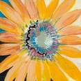 thumbnail image 2 of Bernsen, Leslie 26x26 Black Ornate Wood Framed with Double Matting Museum Art Print Titled - Sunshine Flower IV, 2 of 4