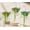 Pink, variant on Umbrella Shaped Decorative Flower Pot with Screws,Wrought Iron No Drill Wall-Mounted Umbrella Shaped Flower Pot for Yard Garden Wall