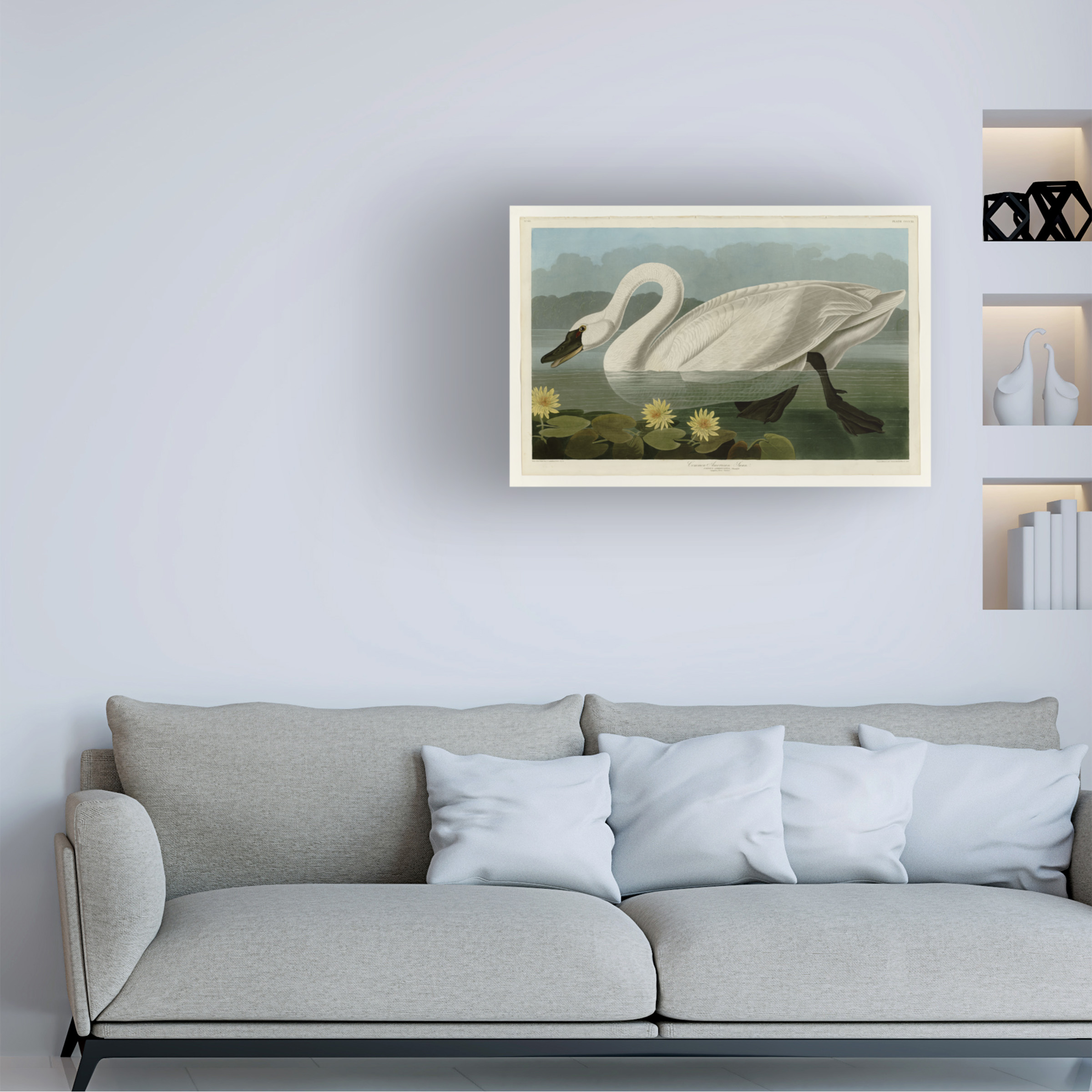 John James Audubon 'Common American Swan' Canvas Art