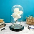 thumbnail image 3 of Plymor 5.5" x 10" Glass Display Dome Cloche (Black Acrylic Base), 3 of 4