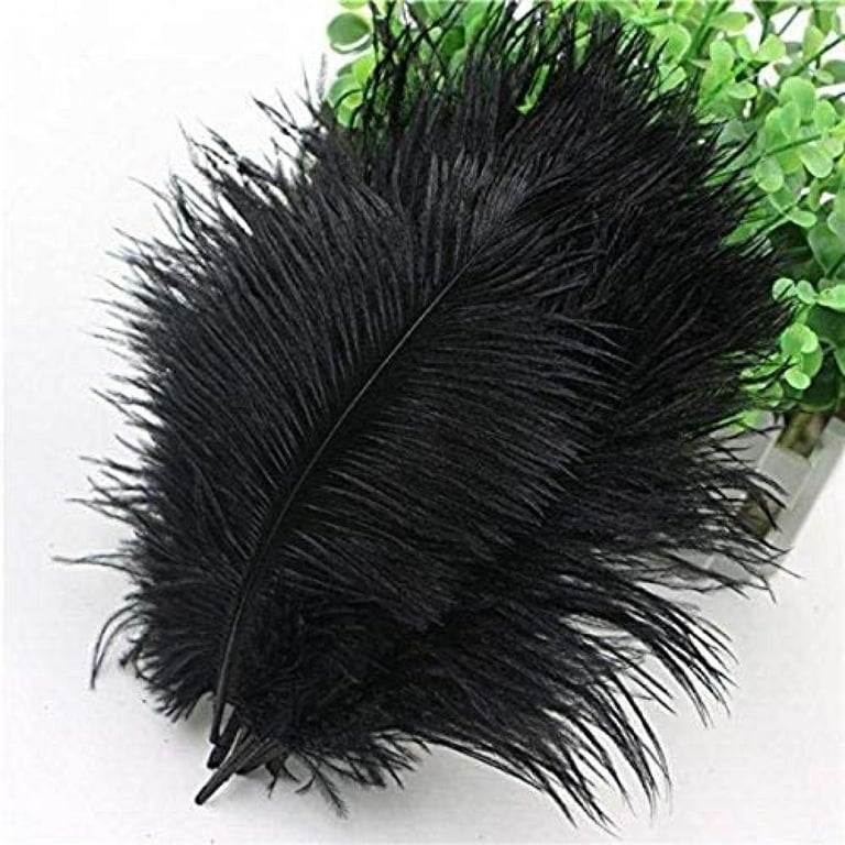 Efavormart 12 Rare 24 inch-26 inch Ostrich Plume Feathers for Wedding Birthday Party Dance Banquet Event Decoration - Black