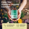 thumbnail image 2 of Suplemento HERBAMAMA, cápsulas de inulina en polvo, 1200 mg, 100 cápsulas, 2 of 8