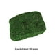thumbnail image 3 of Advancent 300g Artificial musgo falso secado verde ladrillo liquen bloque plantas decorativas jardín centros de terrarios Decoración Plantas Artificiales, 3 of 6